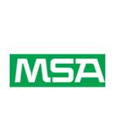 MSA